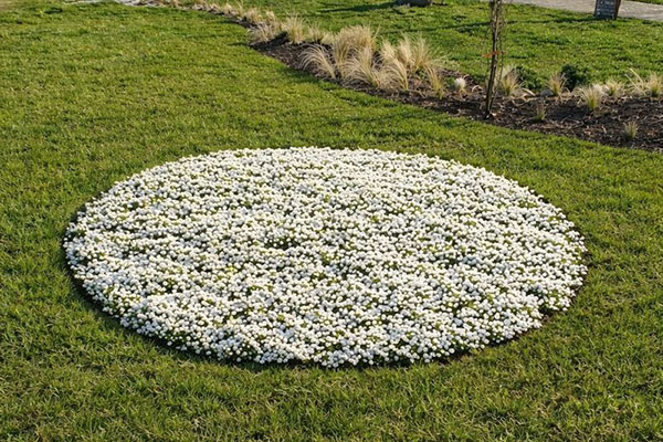 Schmetterlingskinder